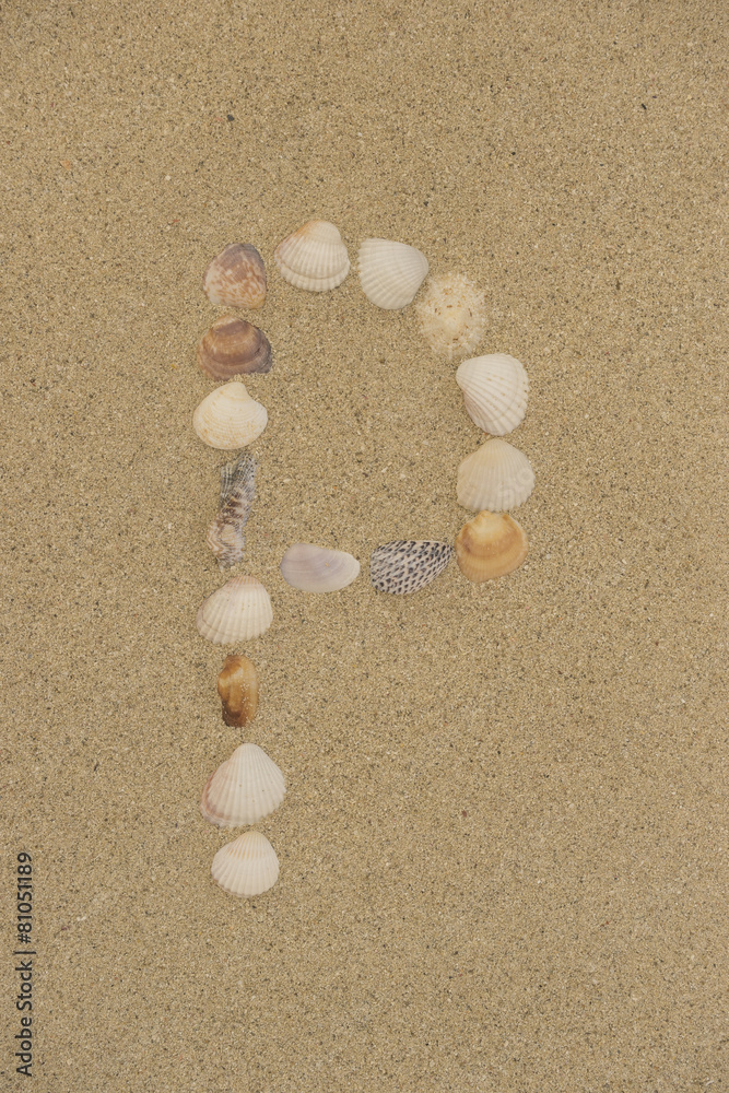 Buchstabe P aus Muscheln im Sand Buchstabe P aus Muscheln im Sand