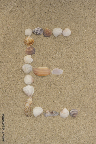 Buchstabe E aus Muscheln im Sand