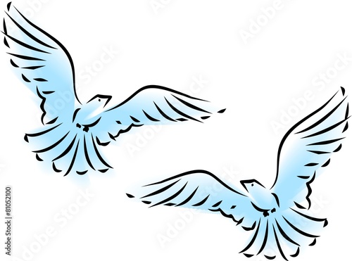 Sketch of two flying birds