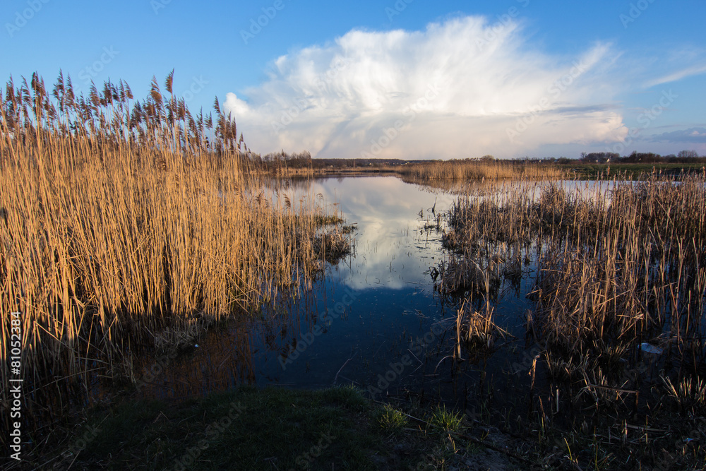 spring lake landscape spring lake landscape