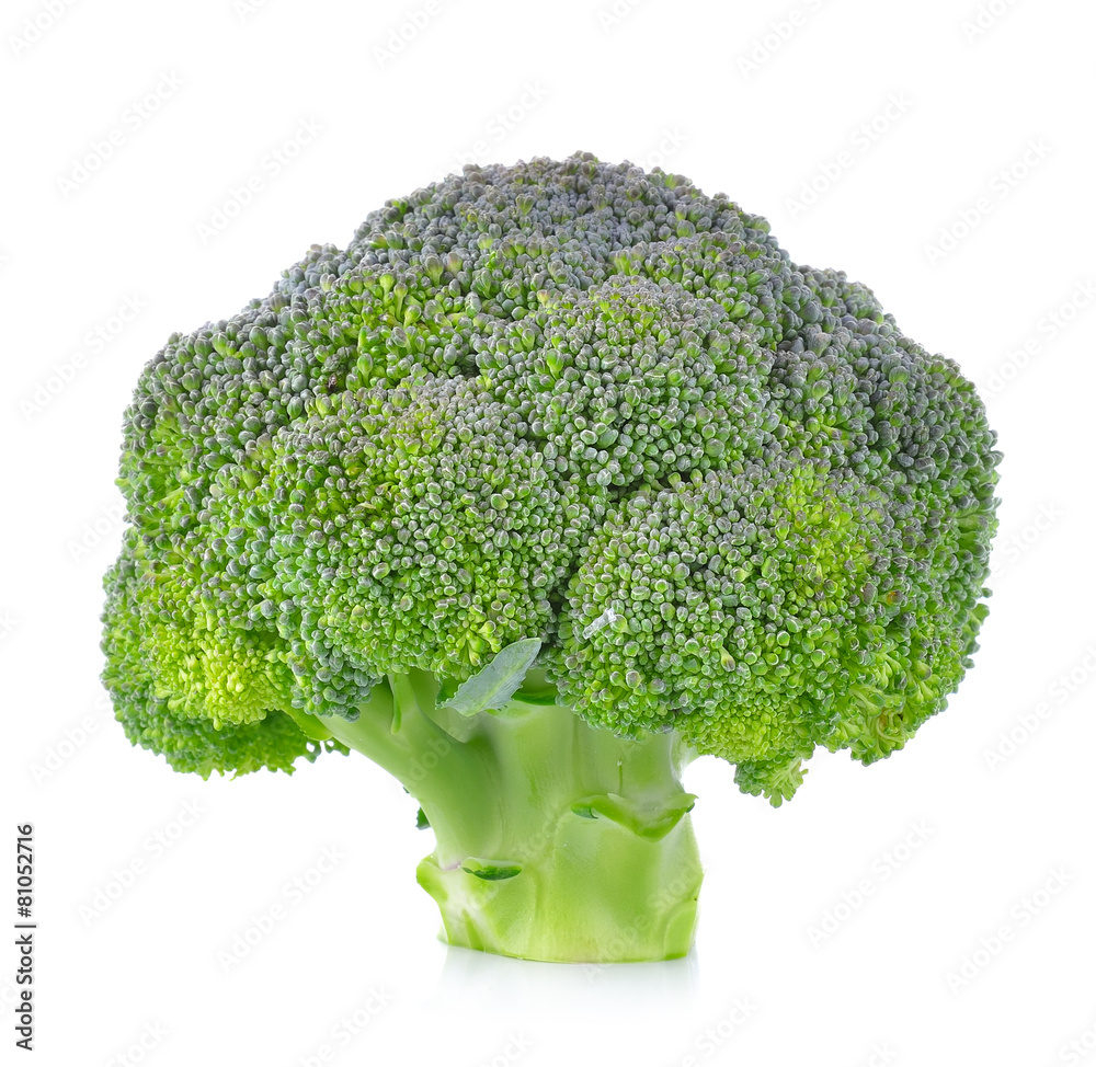 fresh broccoli isolated on white background fresh broccoli isolated on white background