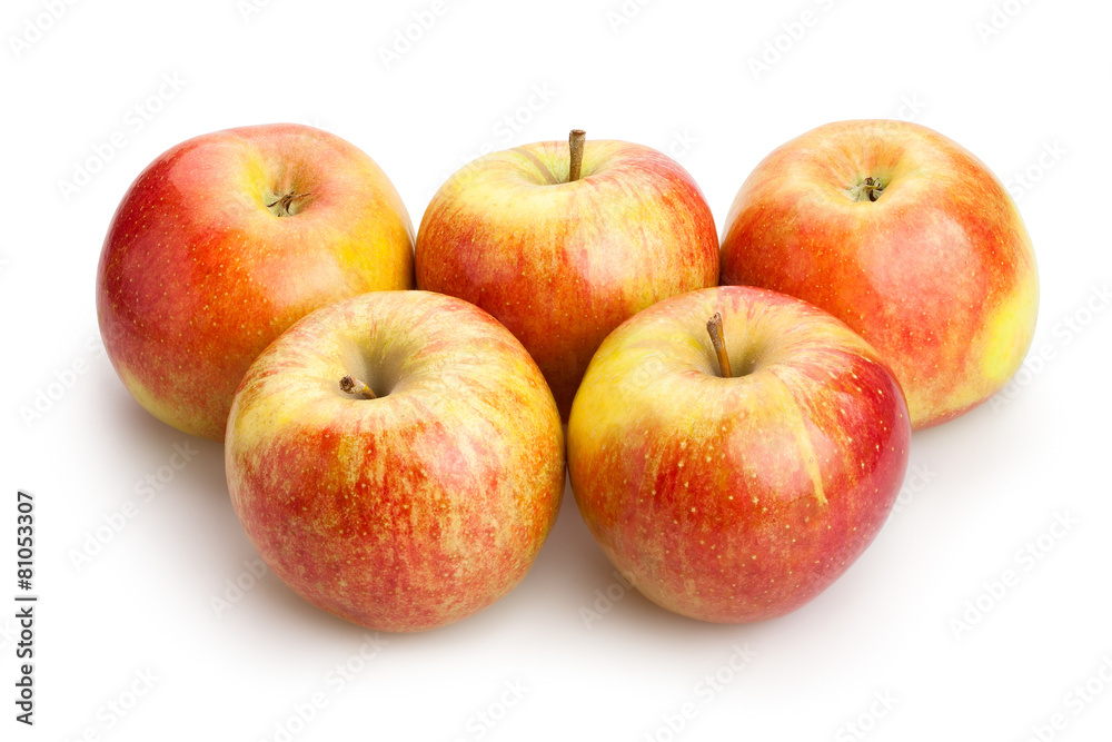 apples apples