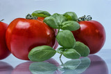 The Basil and Tomatoes