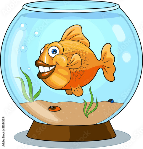 goldfish