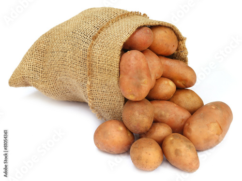 Potatoes in a sack bag