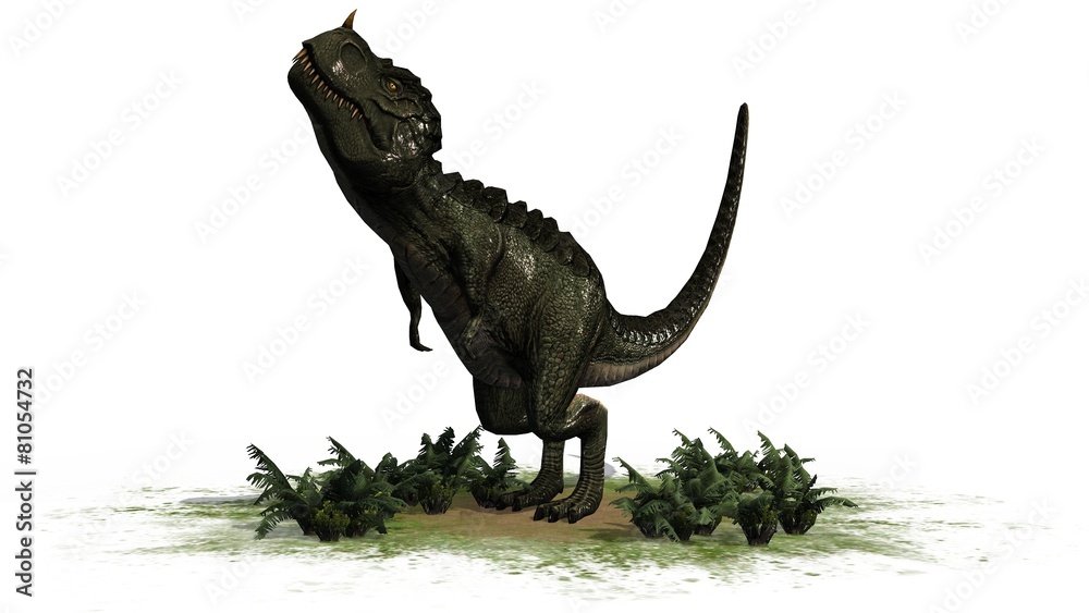 T-Rex Dinosaur - seperated on white background T-Rex Dinosaur - seperated on white background