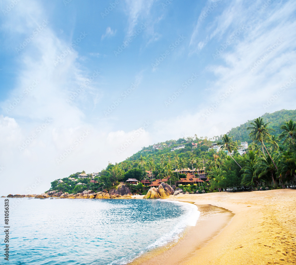Naklejka premium Tropical forest, sea coast and mountains