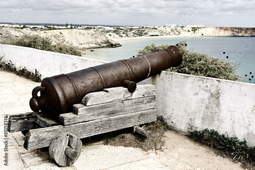 Cannon