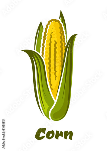 Cartoon yellow corn vegetable on the cob