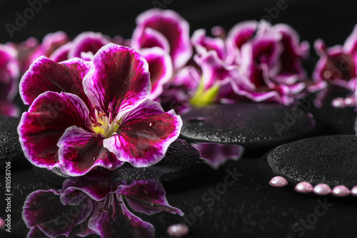 beautiful spa background of geranium flower, beads and black zen photo