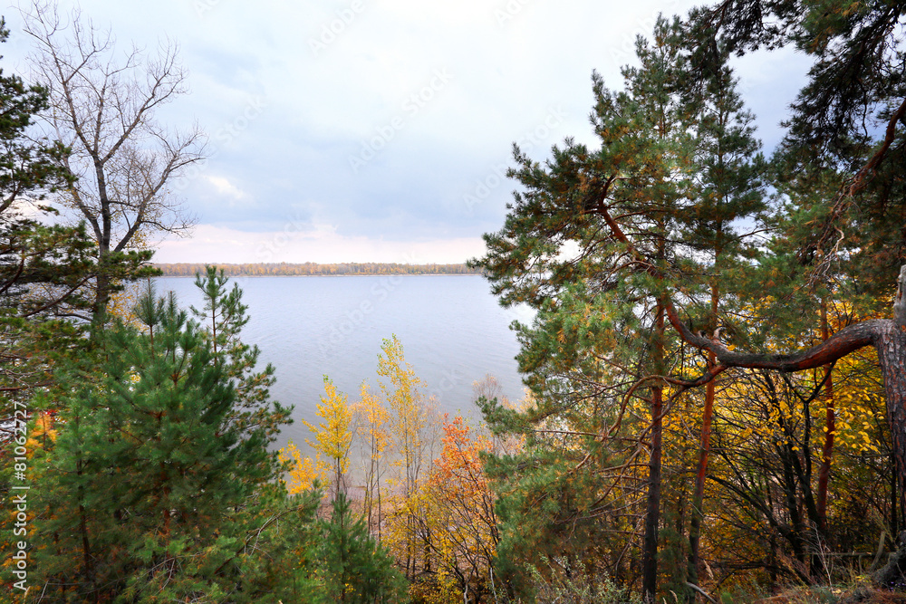 Obraz premium autumn in the mixed forest