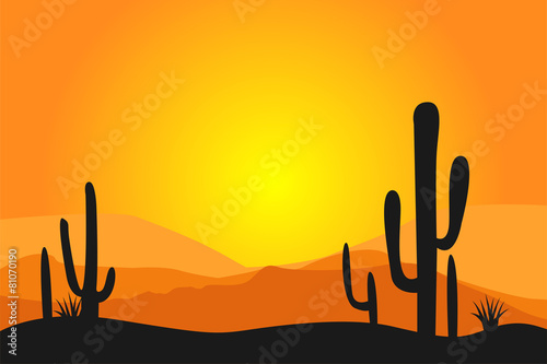 Mexican desert background