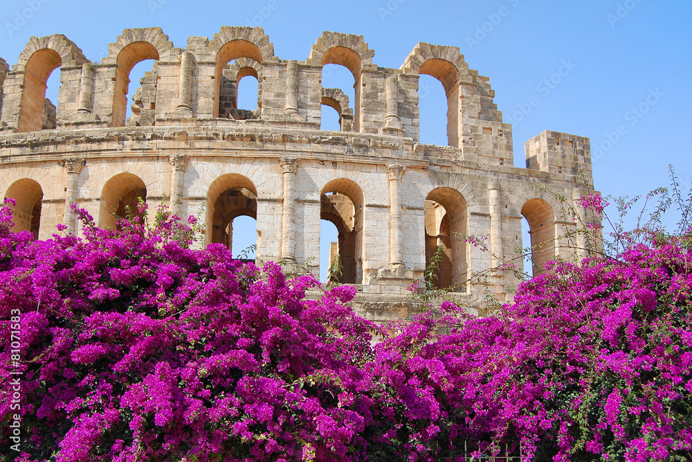 Obraz premium Tunisia amphitheater