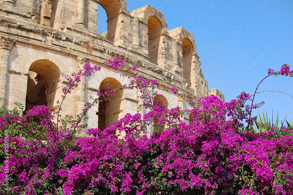 Obraz premium Tunisia amphitheater
