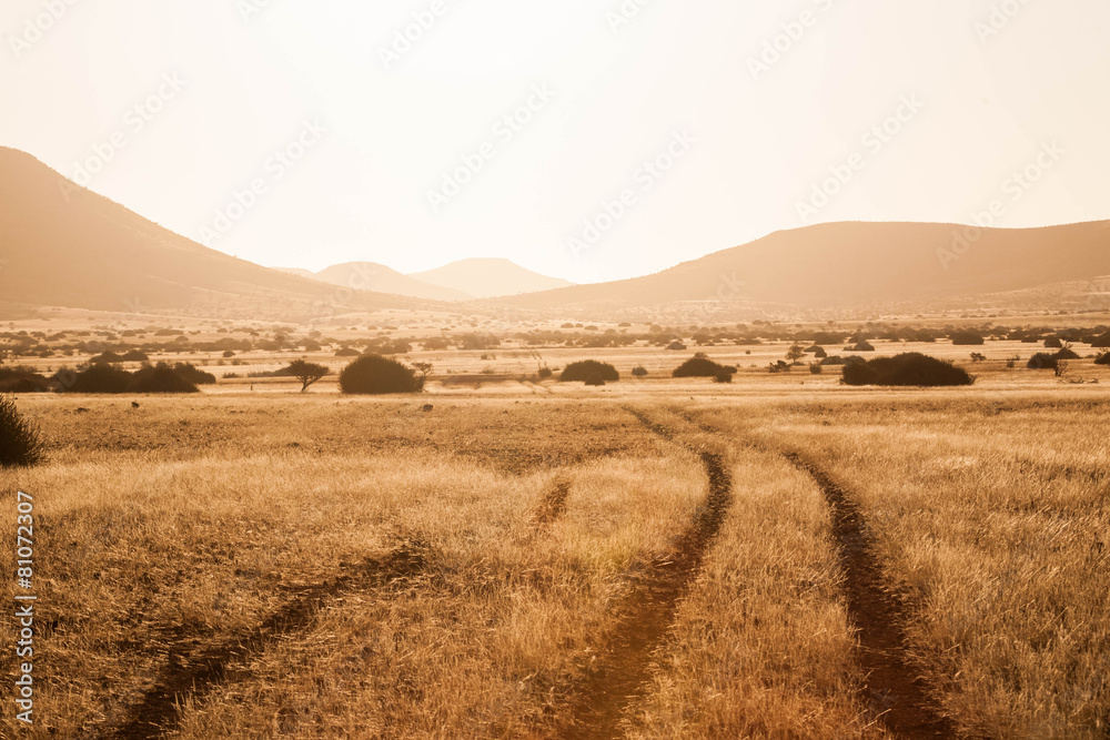 Obraz premium African landscape