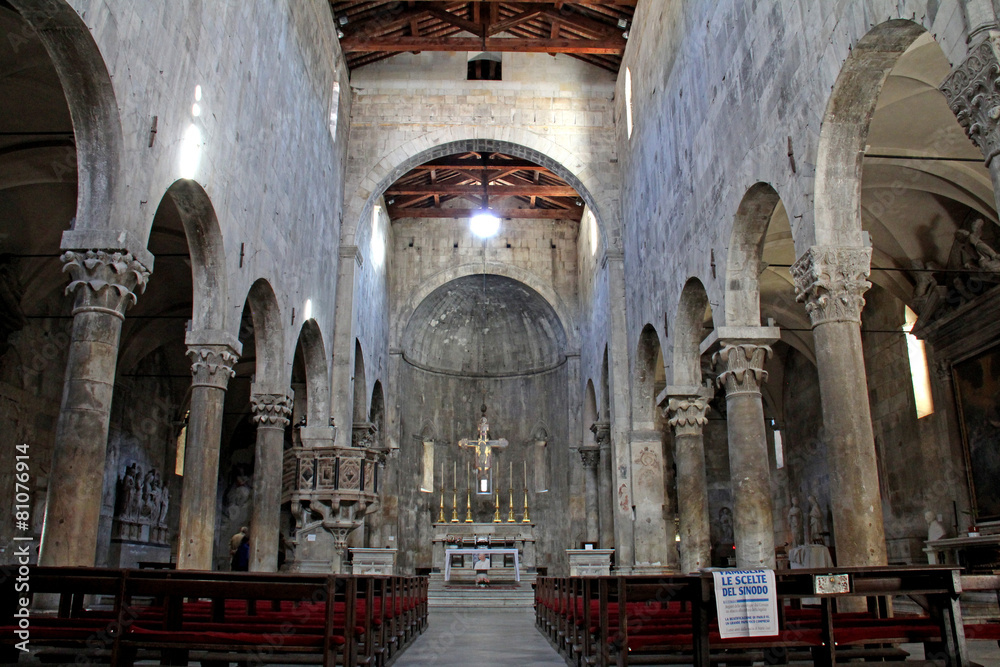 Fototapeta premium Duomo di Carrara; la navata centrale
