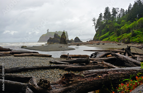 Ruby Beach in the Olympic National Park in Washington state. photo