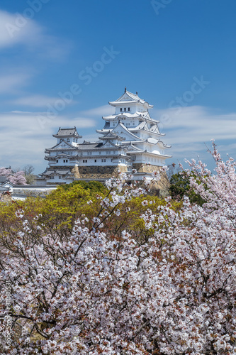 Wallpaper Mural 春の姫路城 Torontodigital.ca