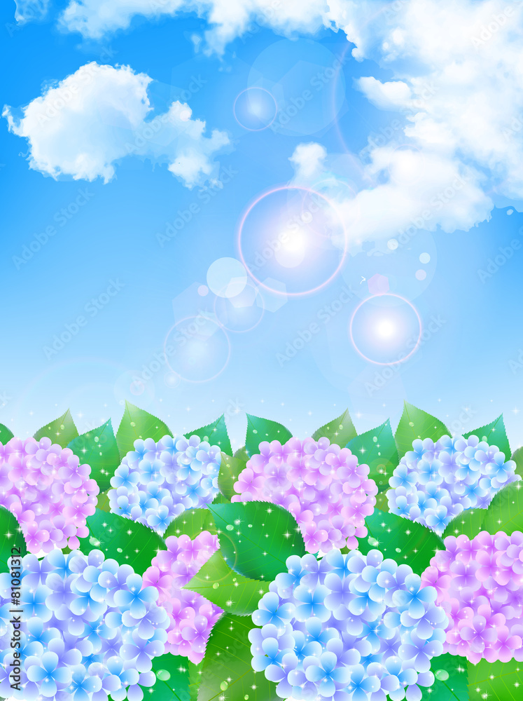 あじさい　梅雨　背景