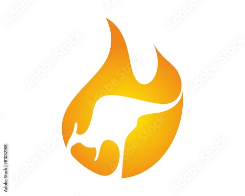 kangoroo financial logo