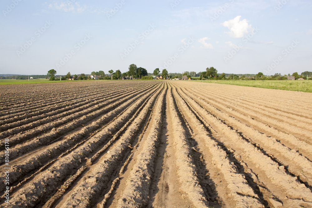 The Soil The Soil