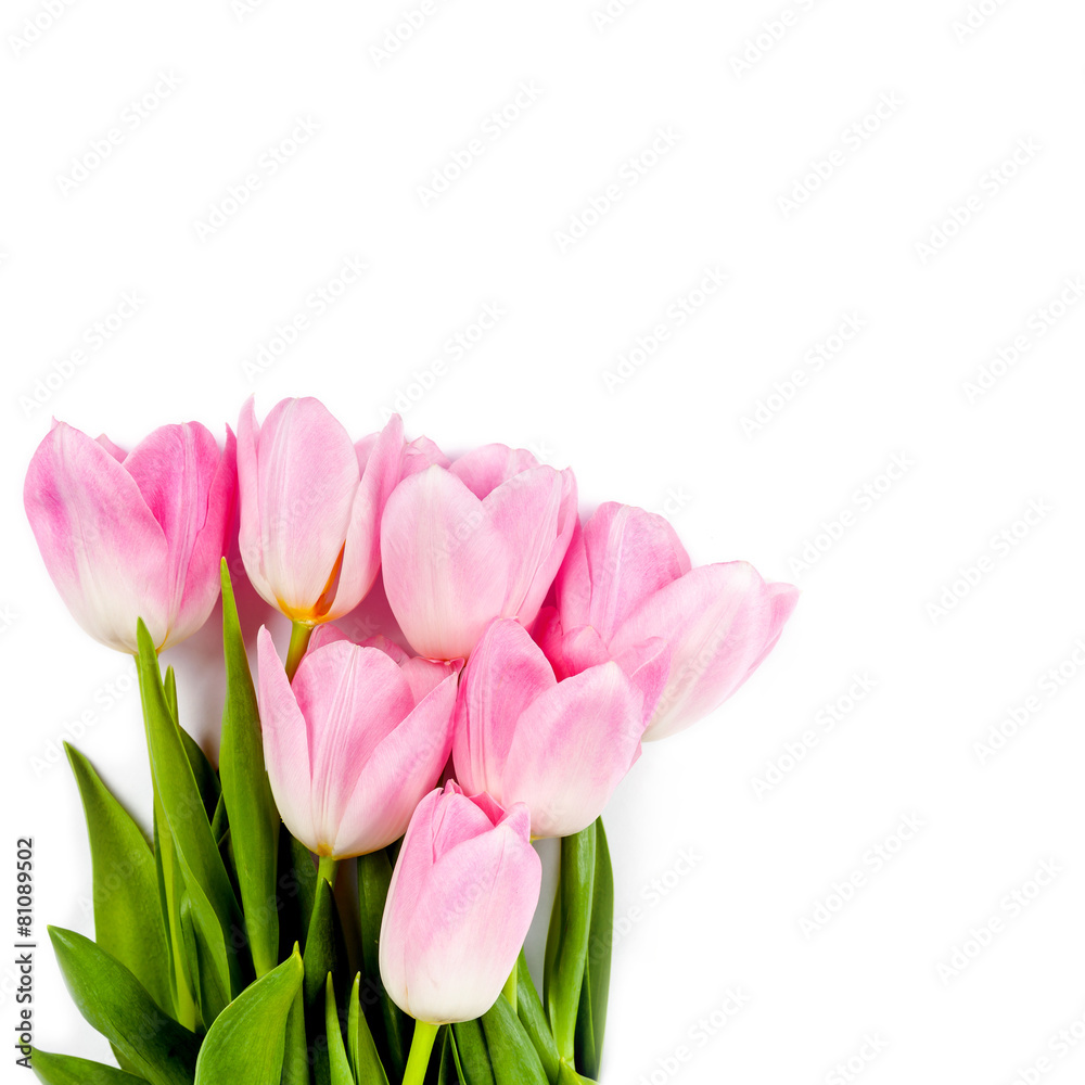 bouquet of tulips bouquet of tulips