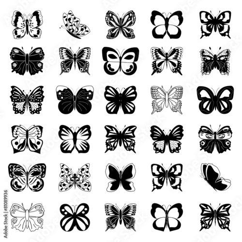 Collection of butterflies for design