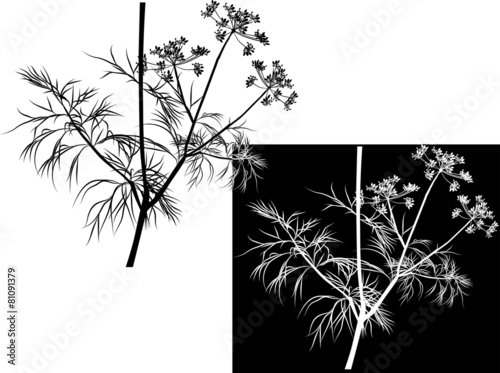 white and black illustration with dill