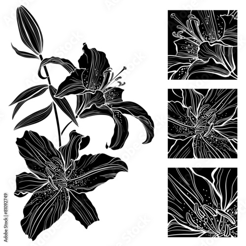 Fototapeta Naklejka Na Ścianę i Meble -  Lily. Black and white vector illustration. Can be greeting card