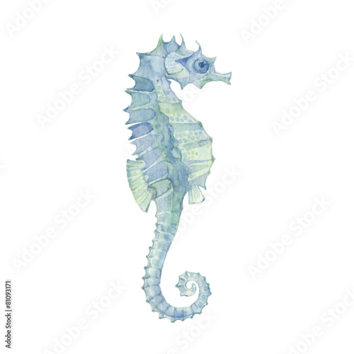 Sea horse isolated on a white background.Vector, watercolor hand