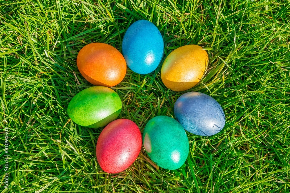 Colorful Easter eggs on a green grass Colorful Easter eggs on a green grass