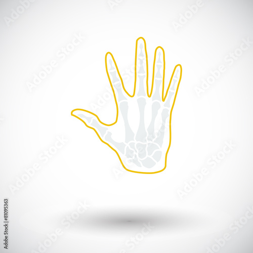 Anatomy hand
