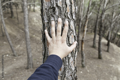 Male hand touching a tree