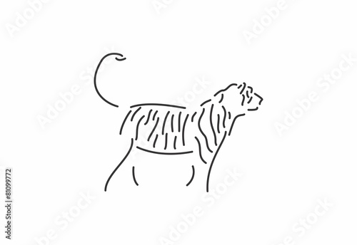 tiger logo icon template photo
