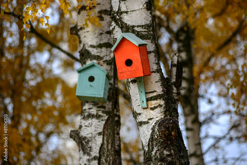 Fototapeta Naklejka Na Ścianę i Meble -  bird house nesting-box hang on birch tree trunk