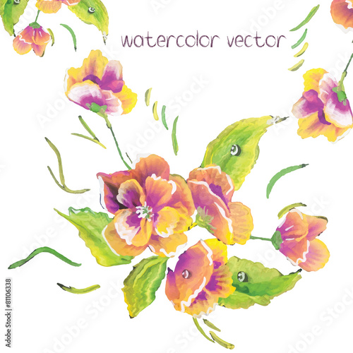 Watercolor Vector Flowers. Vector Watercolour Flowers. photo