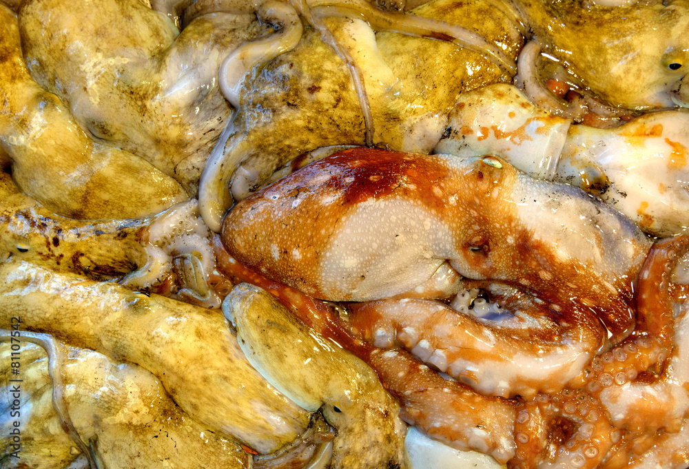 Octopus at Fish Market