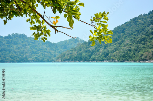Andaman Sea and branches of tree © zephyr_p