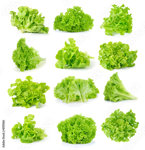 fresh green lettuce leaves isolated on white