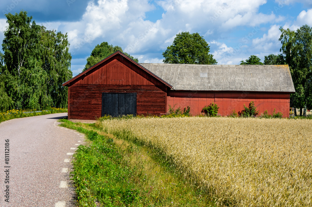 Obraz premium Red barn beside the road and a field of corn.
