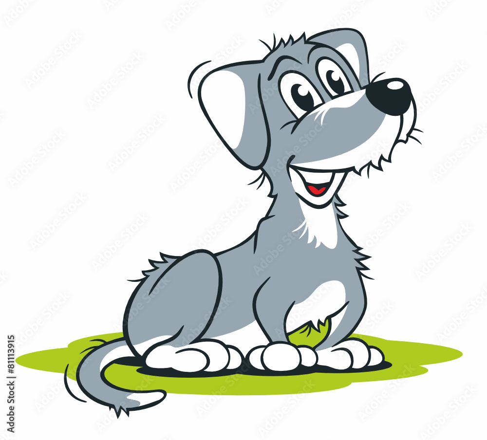 Obraz premium Grey Dog sitting