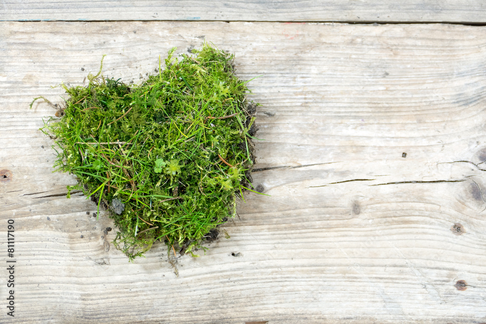 heart shape from moss and grass on old wood, love background heart shape from moss and grass on old wood, love background