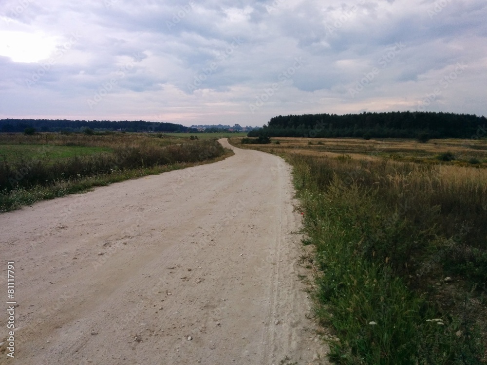 Summer road in field