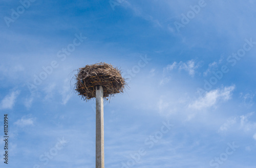 White stork nest on a pillar