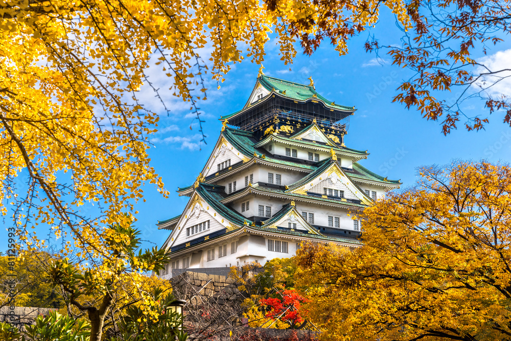 Naklejka premium Zamek Osaka w Osace w Japonii.