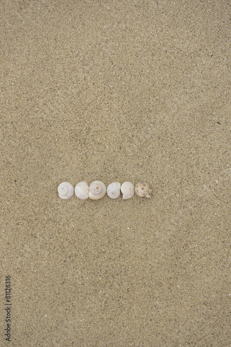 Minus-Zeichen und Bindestrich aus Schneckenhäuschen im Sand