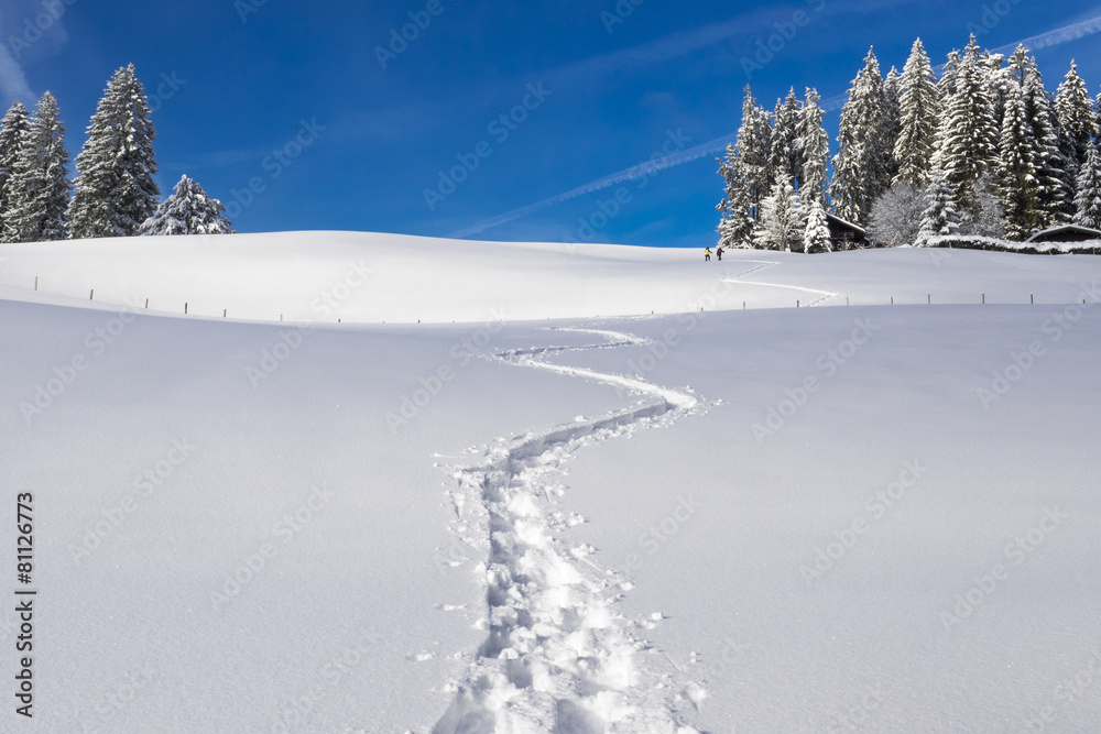 Fototapeta premium Spur von Schneeschuhwanderern im Schnee