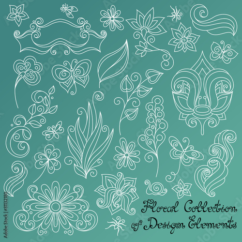 Vector Floral Collection of Hand Drawn Design Elements