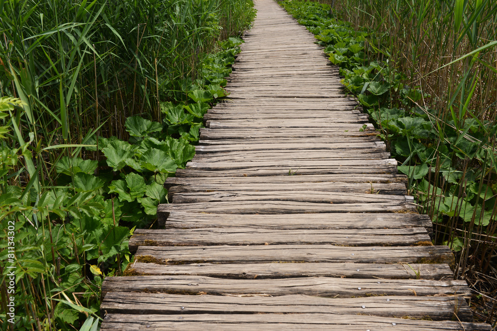 Walkway in Plitvice Lakes National Park, Croatia Walkway in Plitvice Lakes National Park, Croatia