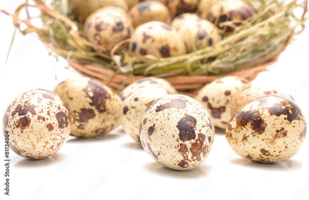 Quail eggs isolated on white background Quail eggs isolated on white background